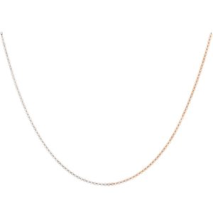 Lilian von Trapp Double Line Polished Necklace K1801B