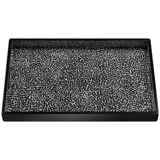Black & White fragmented, on black tray